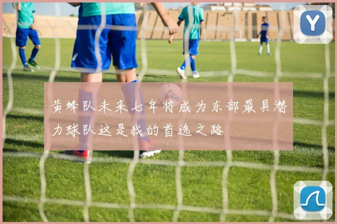 黄蜂队未来七年将成为东部最具潜力球队这是我的首选之路